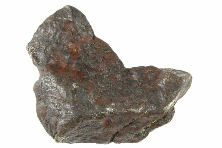 Canyon Diablo Iron Meteorite ( g) - Arizona #262852